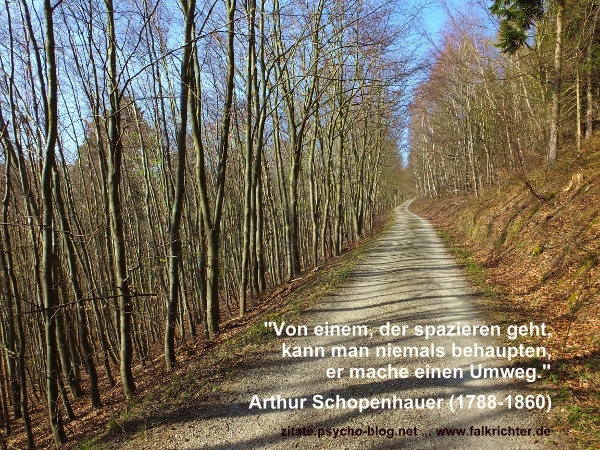 Zitat Arthur Schopenhauer und das Spazieren