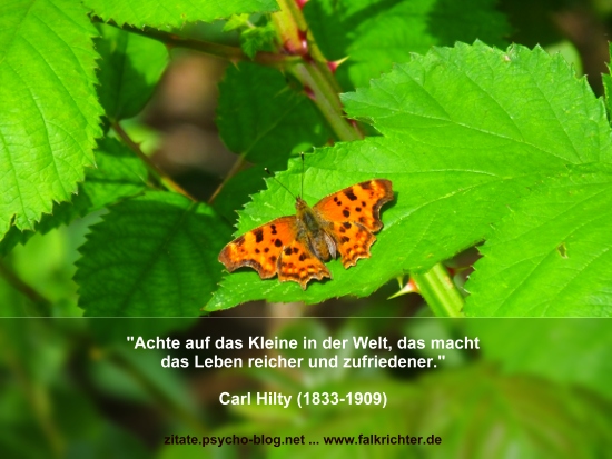 Zitat Carl Hilty und das Kleine, C-Falter